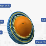 cong-nghe-nang-hoa-hay-con-goi-la-retinol-boc-zo-1