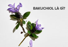 Chi tiết về Bakuchiol hoạt chất làm đẹp mới Hiểu đúng về Bakuchiol