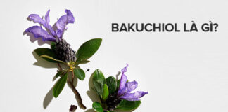 Hiểu đúng về Bakuchiol