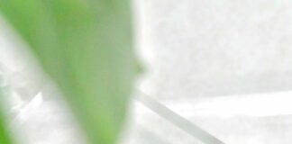 Vì sao mình quyết định gắn bó với mỹ phẩm cao cấp ở độ tuổi 30?