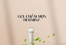 Review gel chấm mụn Dermina hiệu quả bất ngờ Gel Chấm Mụn Dermina