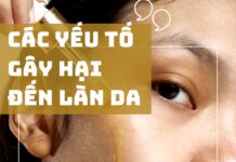 Làn da và các yếu tố gây hại cần tránh Làn Da Khỏe Đẹp – 10 Yếu Tố Gây Hại Cần Tránh