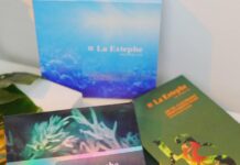 Giải pháp phục hồi và chăm sóc da cháy nắng hiệu quả và nhanh chóng