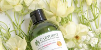 Toner Isntree và Caryophy, Lựa Chọn Nào Tốt Hơn cho da? Toner Isntree và Carophy, Lựa Chọn Nào Tốt Hơn cho da?