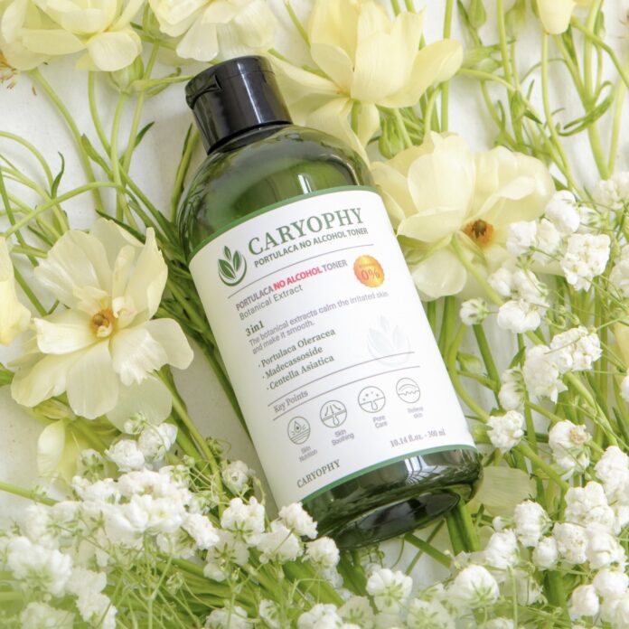 Toner Isntree và Carophy, Lựa Chọn Nào Tốt Hơn cho da?