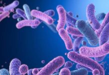 Hiểu rõ lợi khuẩn Probiotics, Prebiotics, Postbiotics và ứng dụng trong mỹ phẩm Hiểu rõ lợi khuẩn Probiotics, Prebiotics, Postbiotics và ứng dụng trong mỹ phẩm