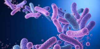 Hiểu rõ lợi khuẩn Probiotics, Prebiotics, Postbiotics và ứng dụng trong mỹ phẩm