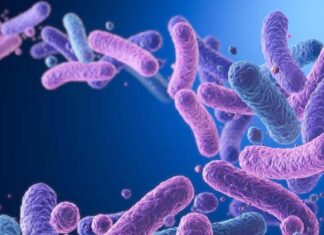 Hiểu rõ lợi khuẩn Probiotics, Prebiotics, Postbiotics và ứng dụng trong mỹ phẩm